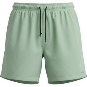 Southern Marsh Dockside Swim Trunks Mens Large Sage Green 6 Inch Inseam Shorts
